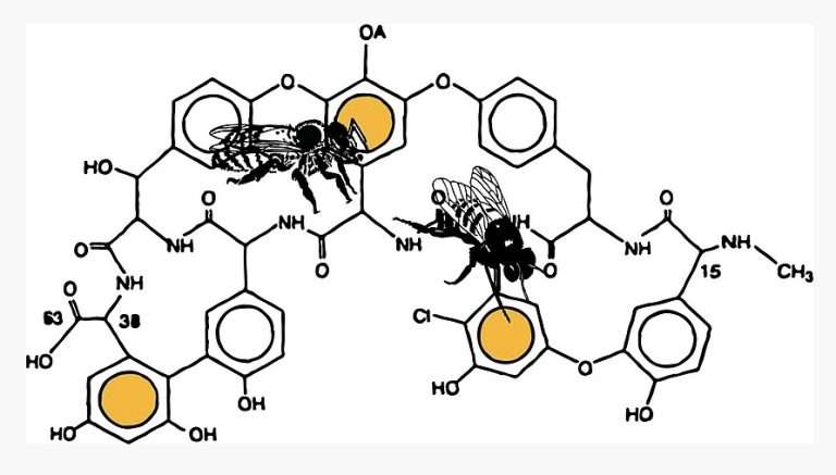 Descifrando los secretos de la miel: la dulce esencia natural